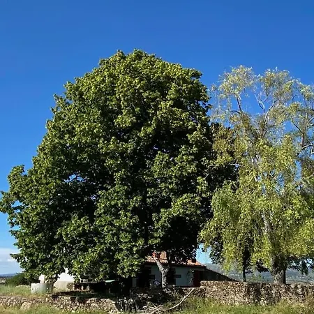 En El Monte De Bejar 샬레 *