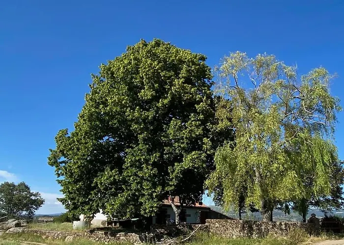 En El Monte De Bejar 샬레 *